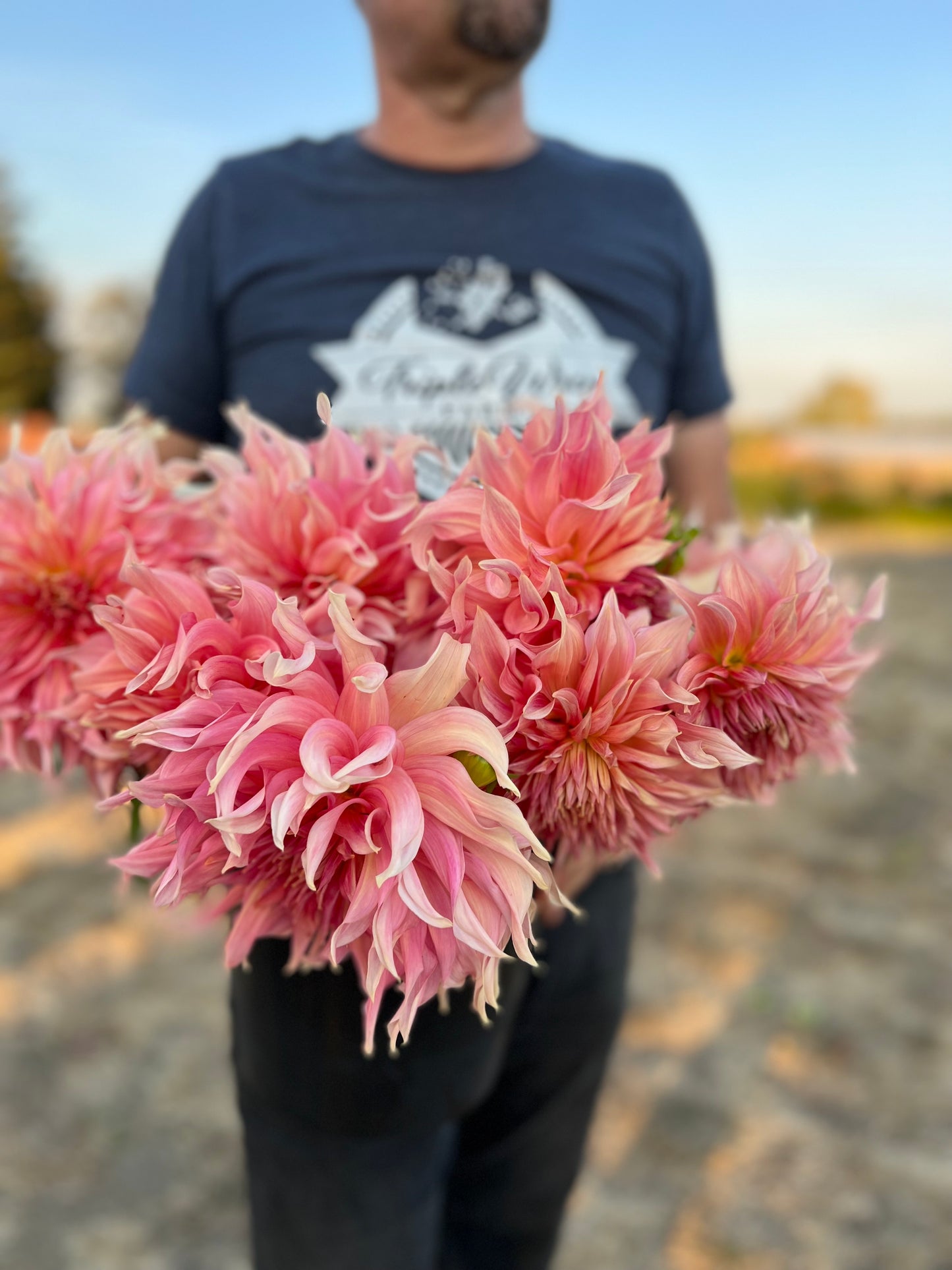 buy Penhill Watermelon Dahlia Tubers from Triple Wren Farms for your home garden