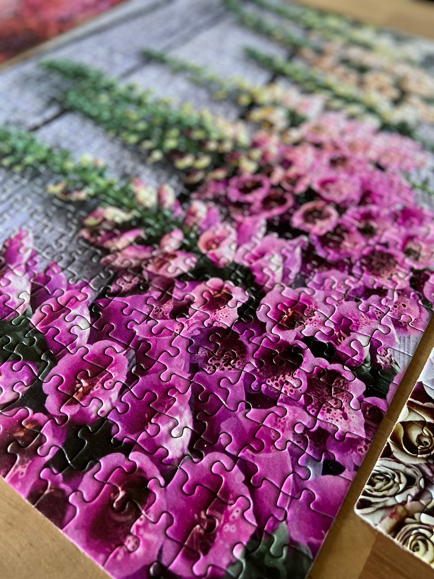 Fresh-Cut Foxgloves Puzzle (513 pieces)