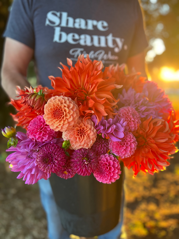 All Dahlia Tubers