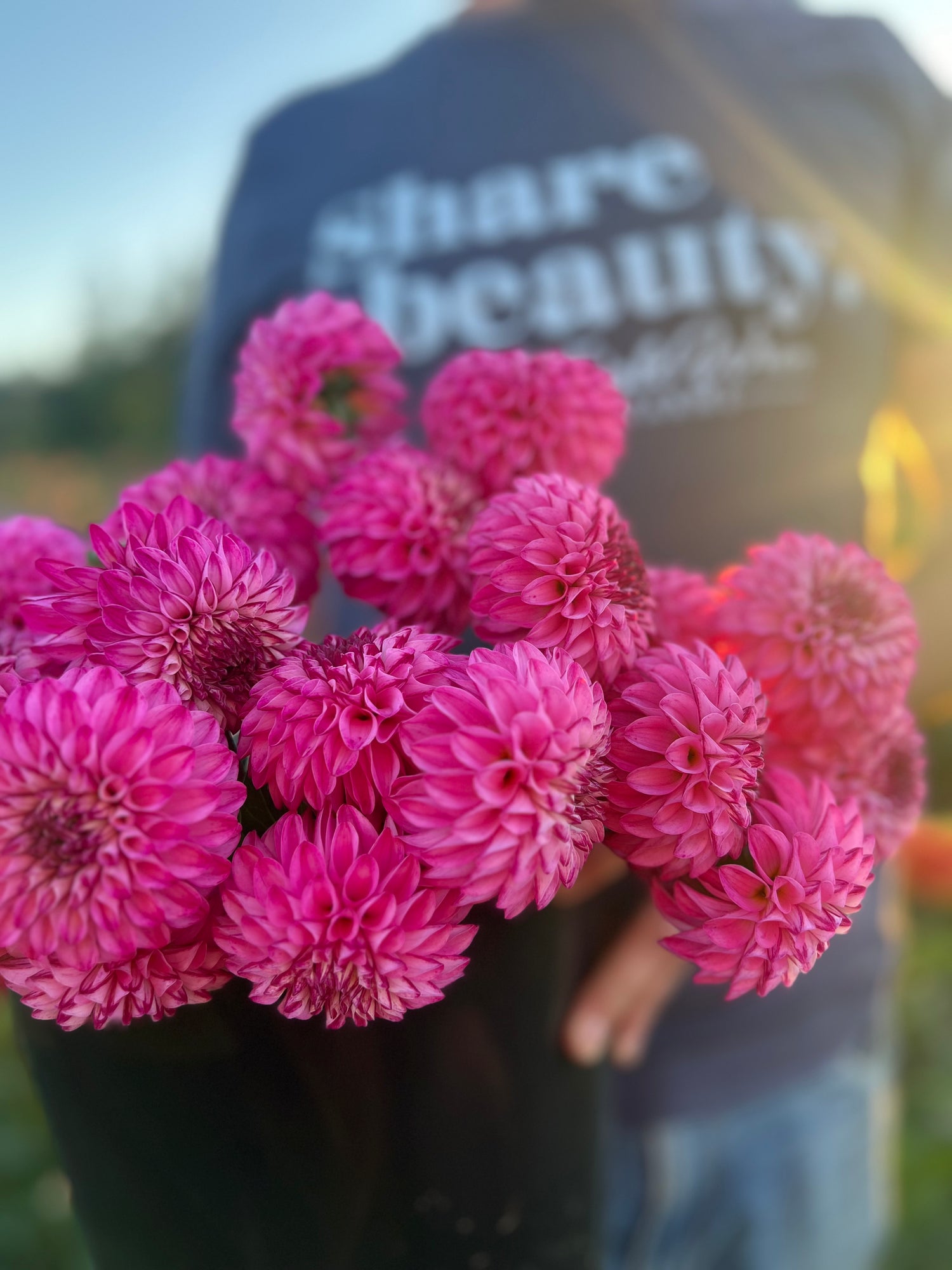 Buy Bloomquist Better dahlia tubers from Triple Wren Farms