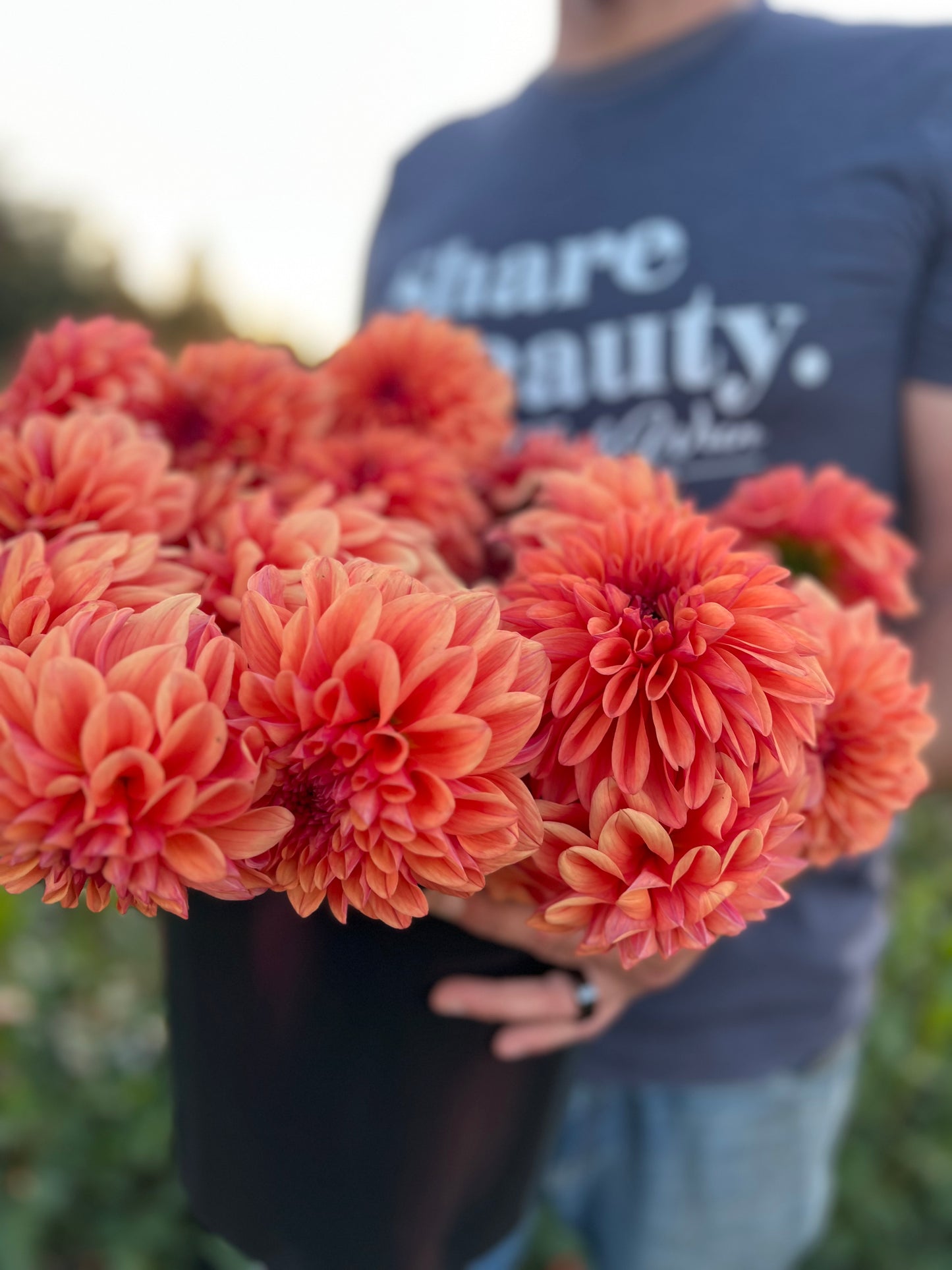 Ferncliff Copper Dahlia Triple Wren Farms