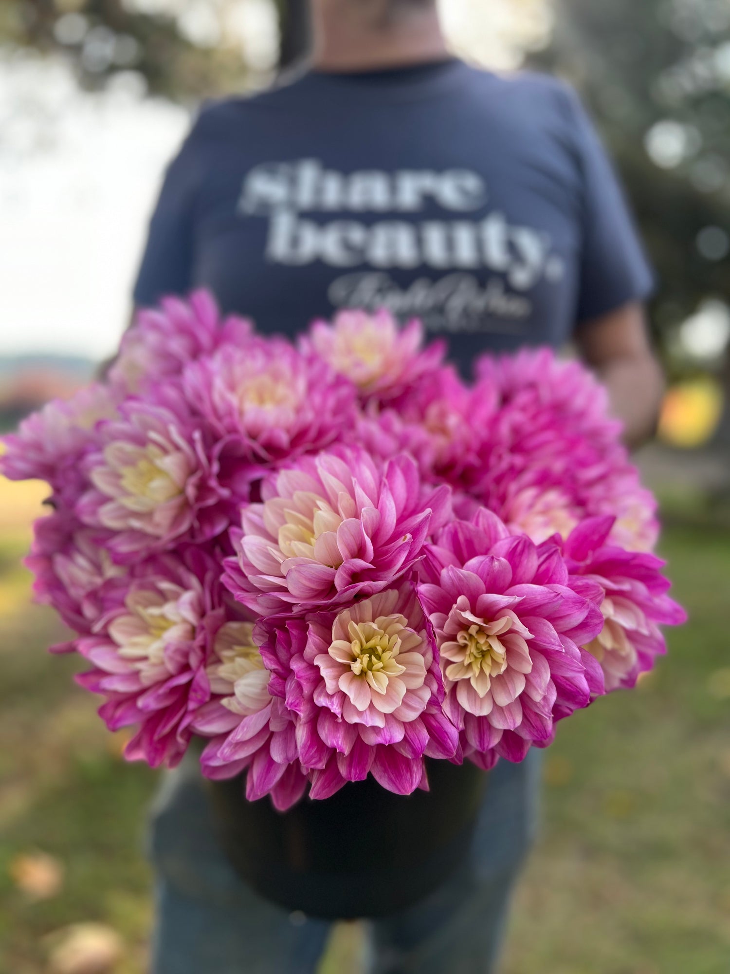 HollyHill Pink Martini Dahlia Tuber from Triple Wren Farms