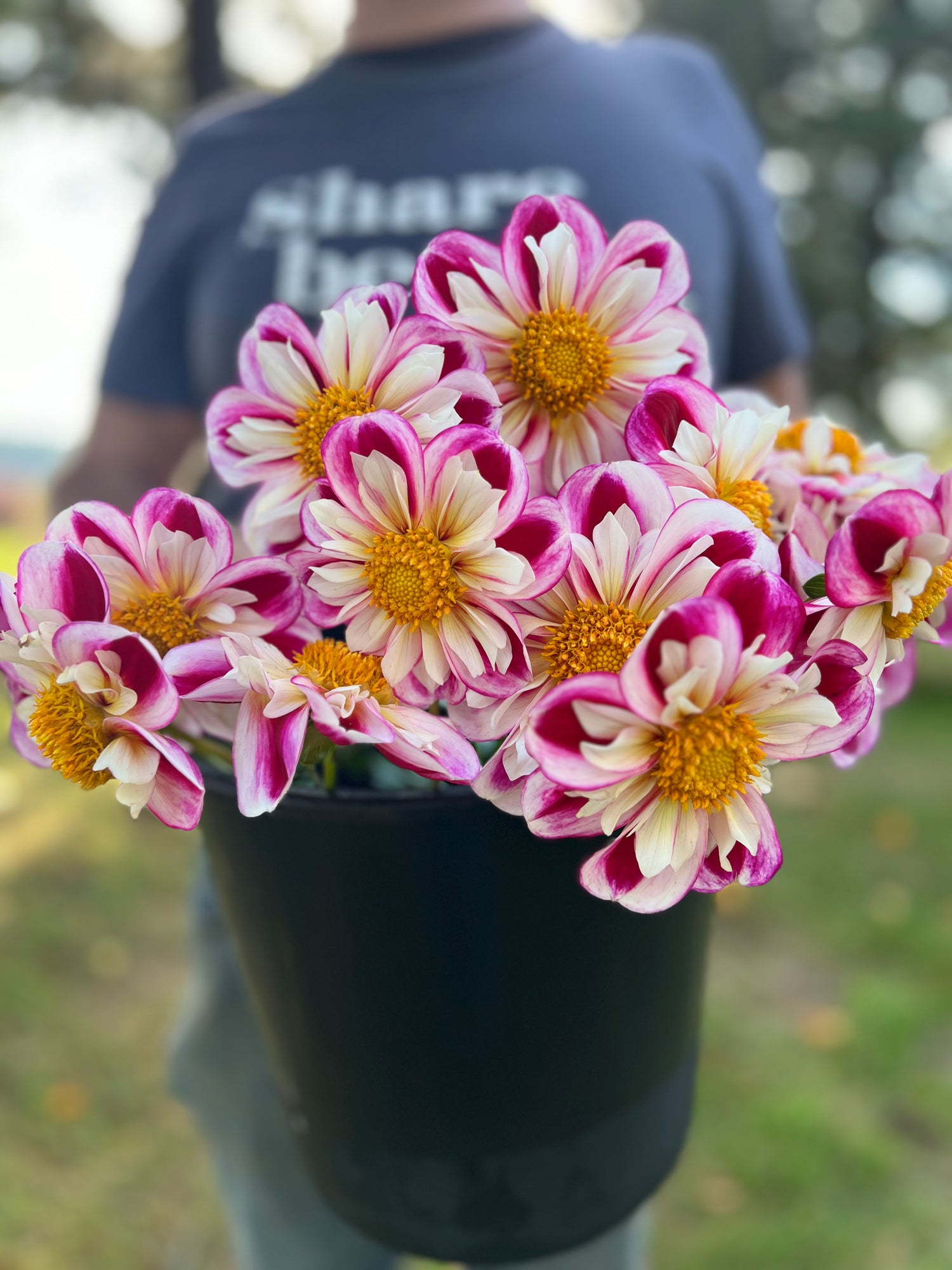 buy Bumble Rumble Dahlia tubers from Triple Wren Farms for your home garden