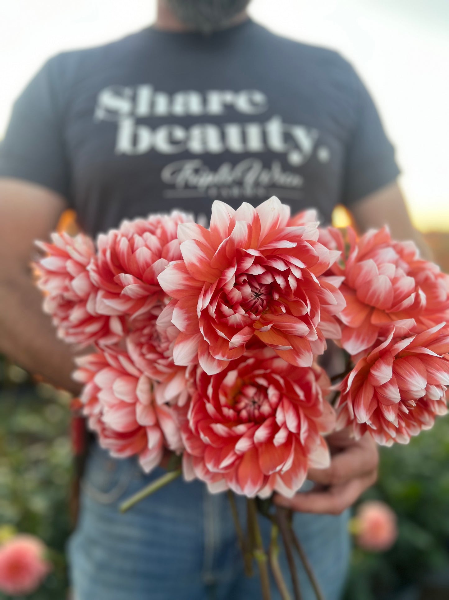 Sandia Candy Corn dahlias from Triple Wren Farms