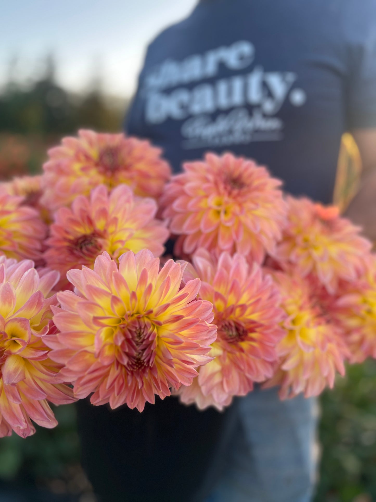 Buy Bloomquist Jerry dahlias from Triple Wren Farms