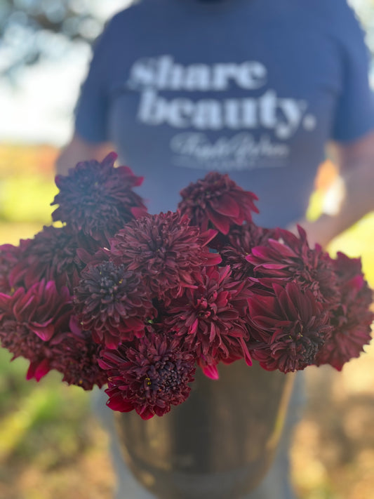 Soulman Dahlia Tuber