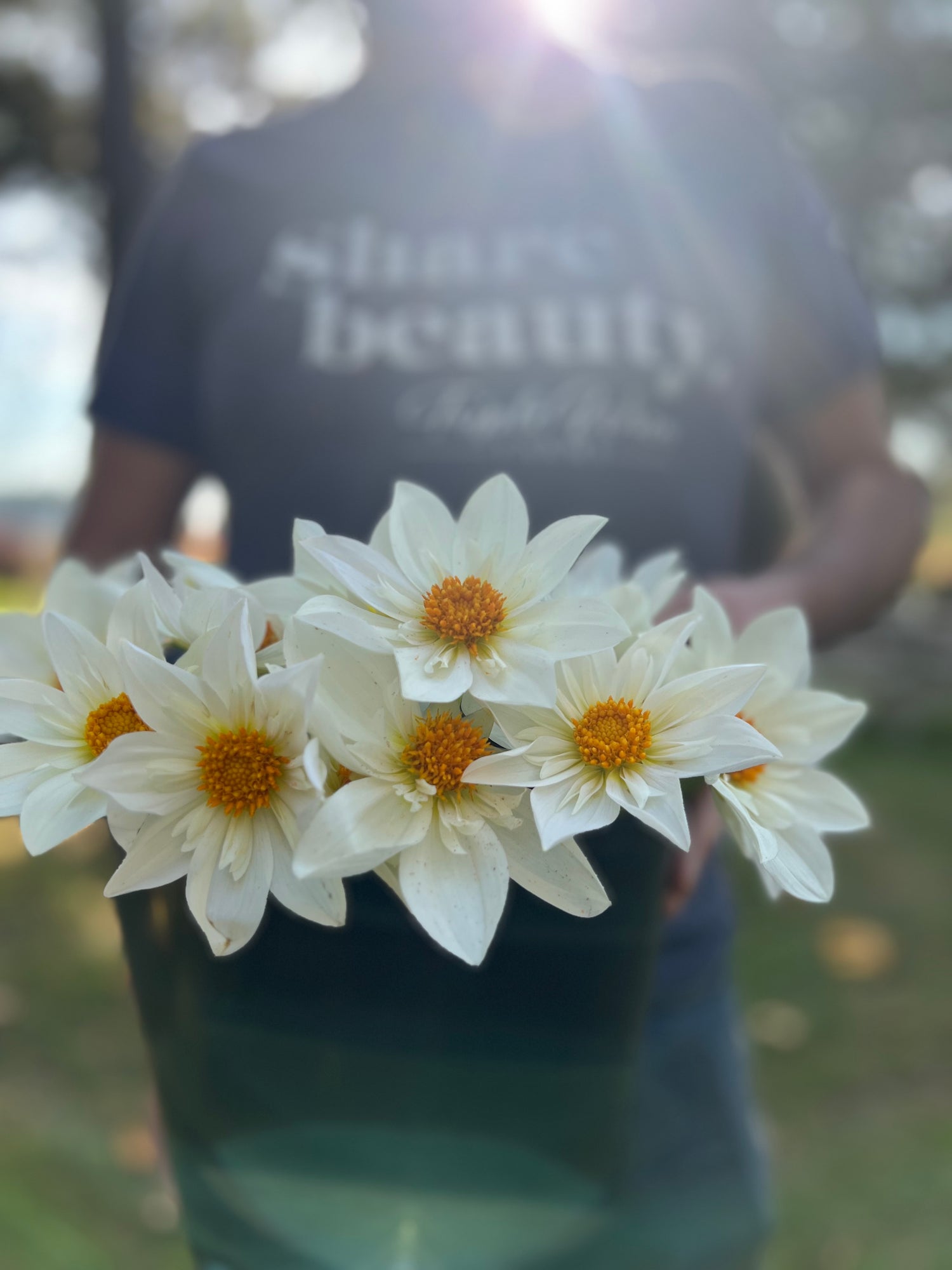 Ferncliff Alpine Dahlia Tuber from Triple Wren Farms