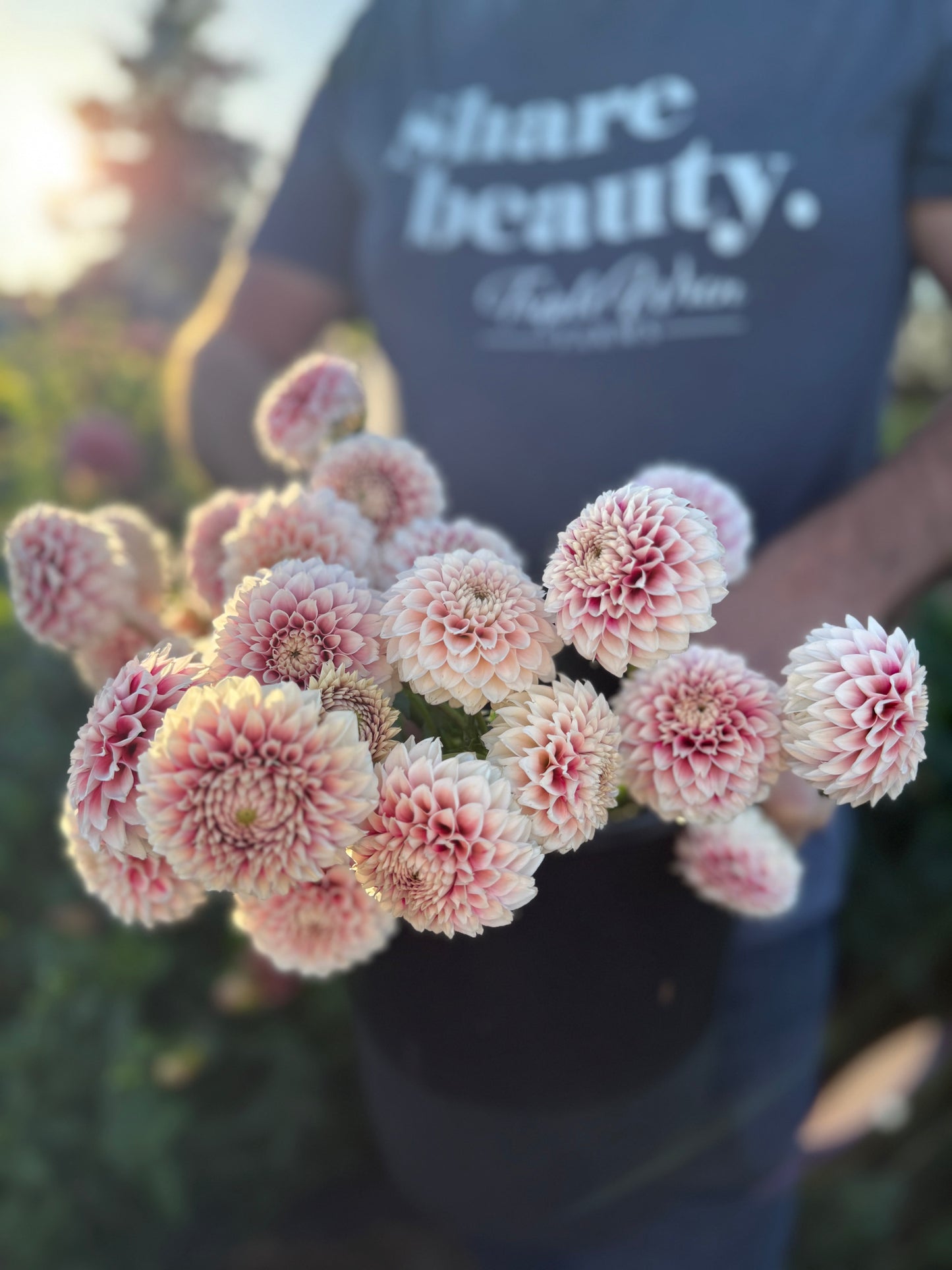 Bloomquist Fairytale Dahlia Tuber