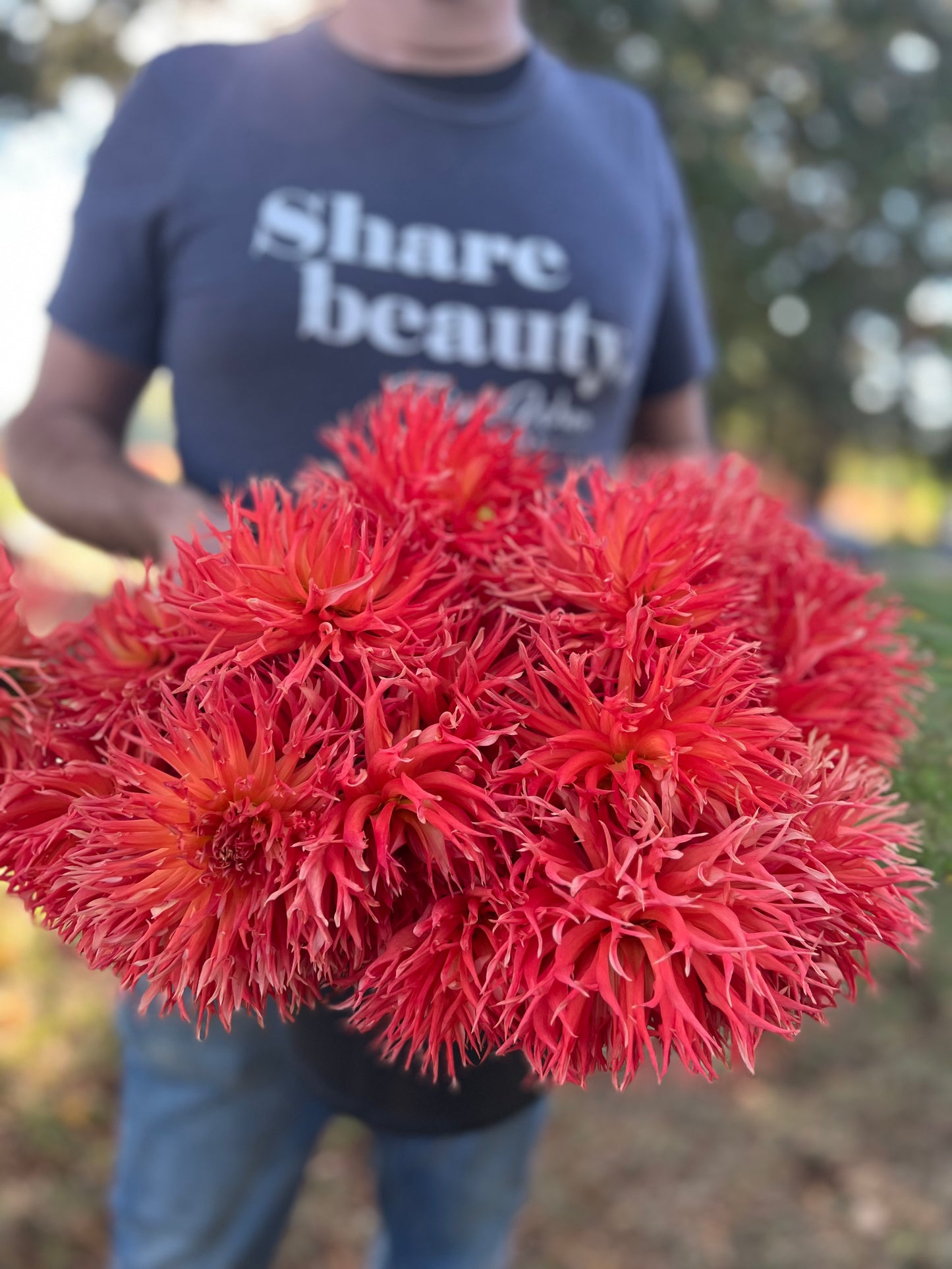 buy Bloomquist Abundant Joy dahlia tubers from Triple Wren Farms for your home garden