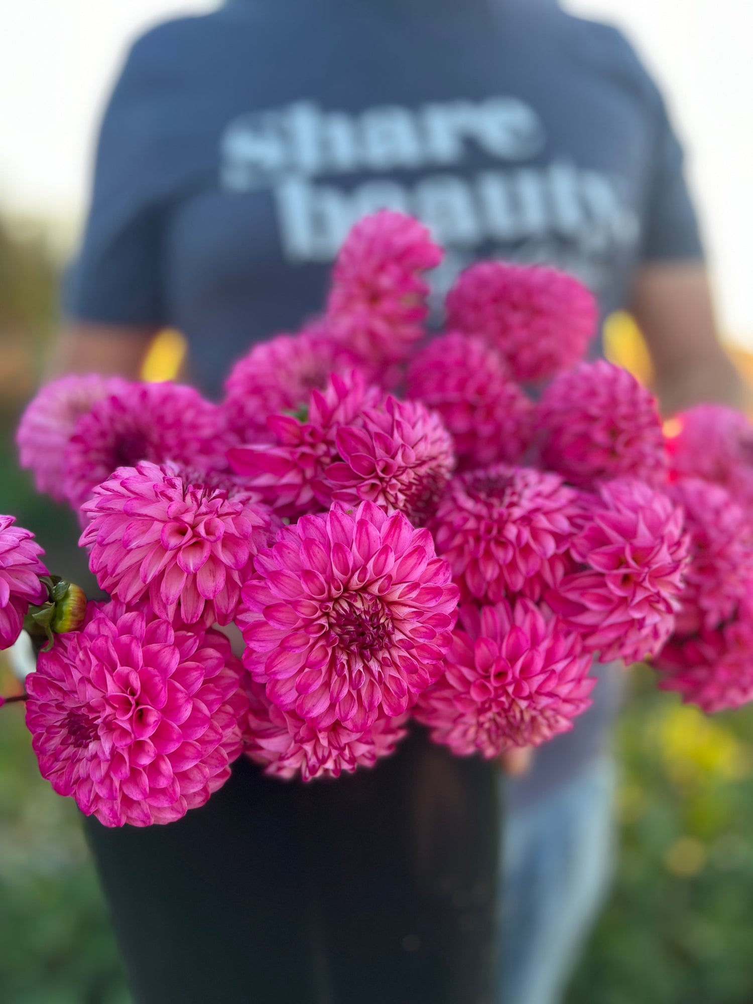 Bloomquist Better dahlia tubers from Triple Wren Farms