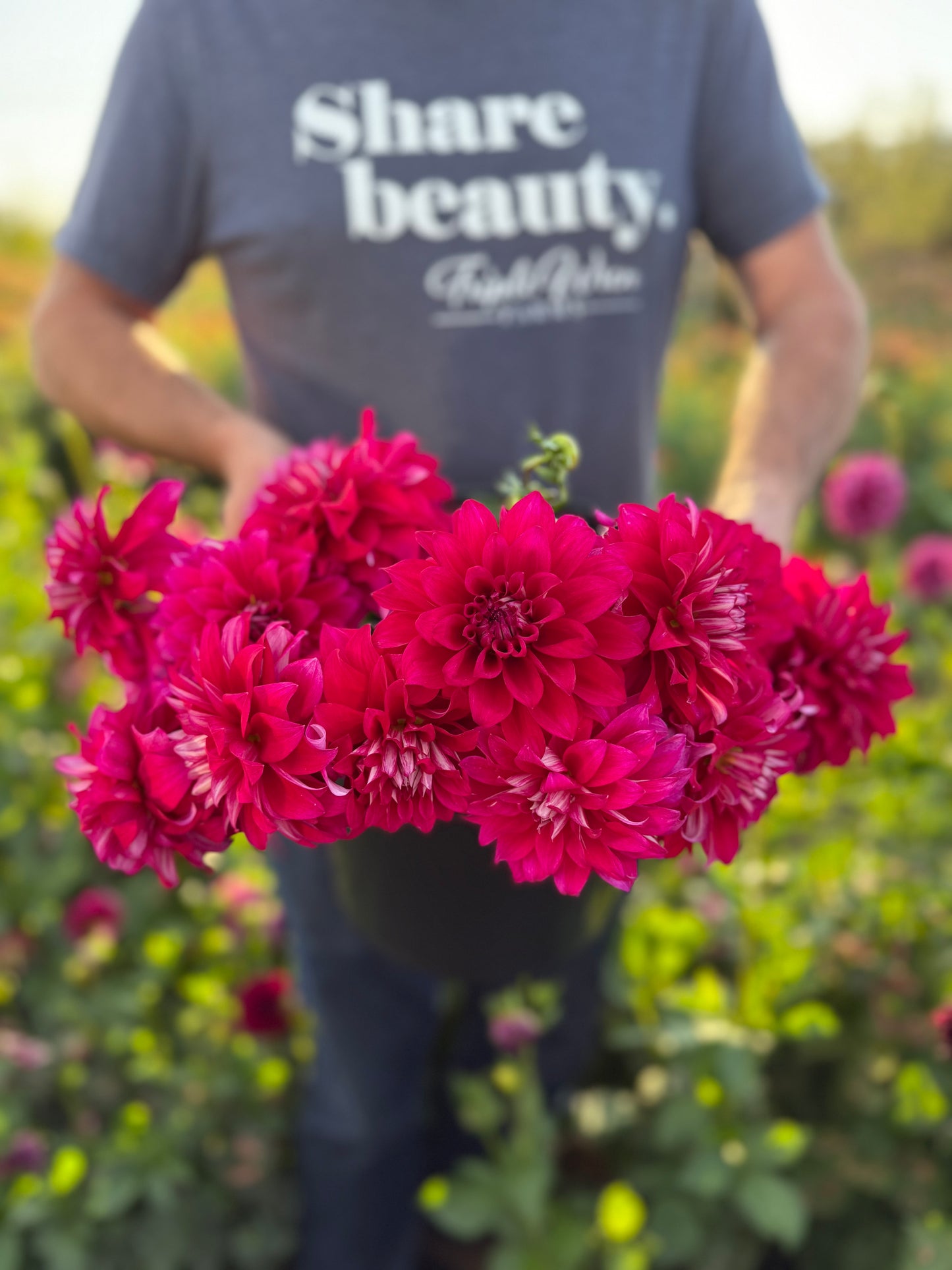 Bloomquist Euphoric Dahlia Tuber