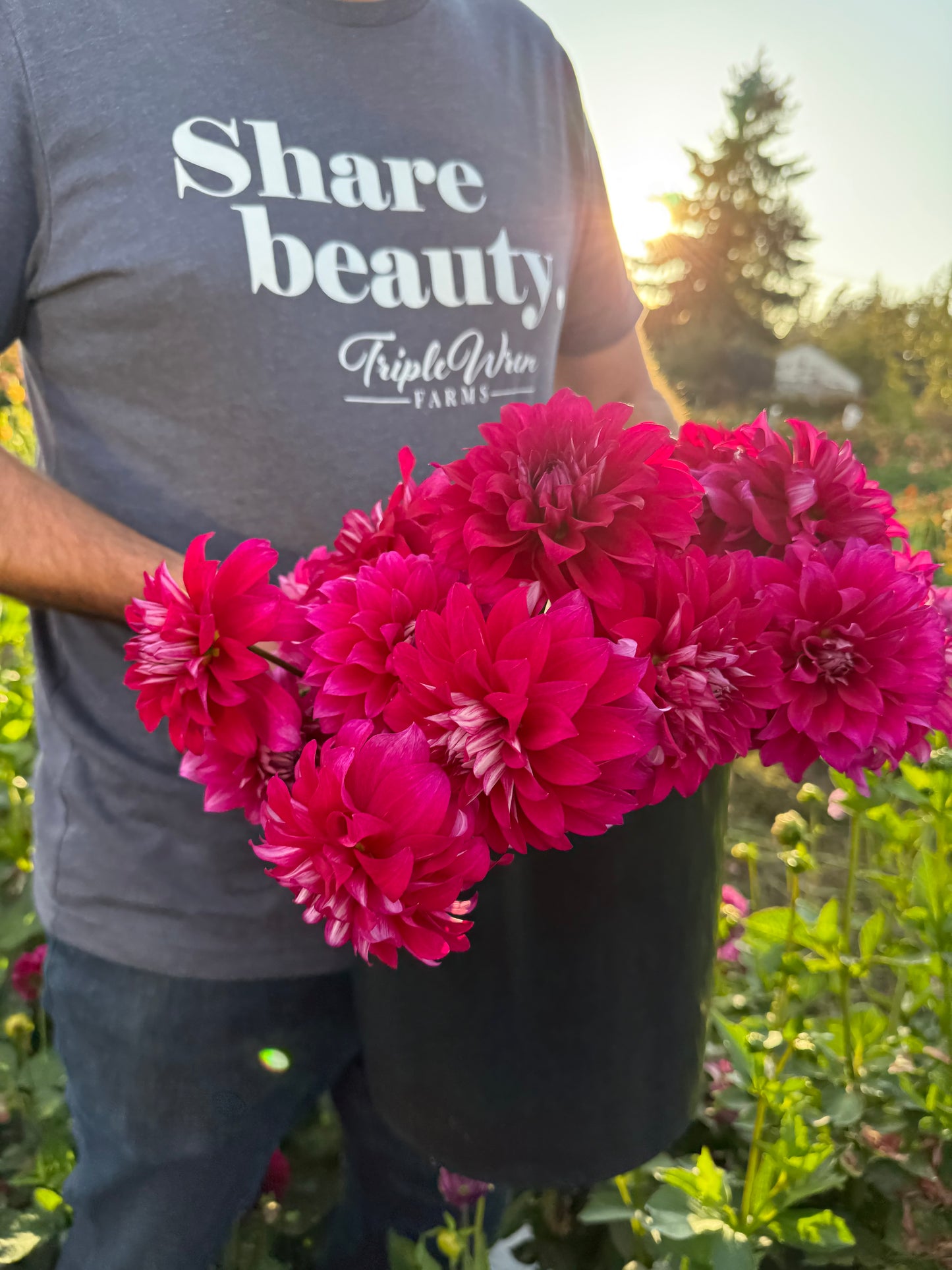 Bloomquist Euphoric Dahlia Tuber