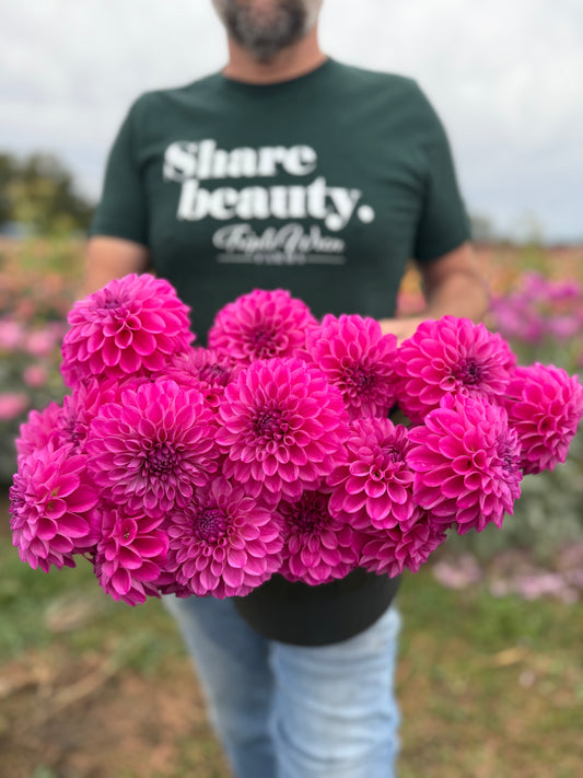 Bloomquist Intrepid Dahlia Tuber