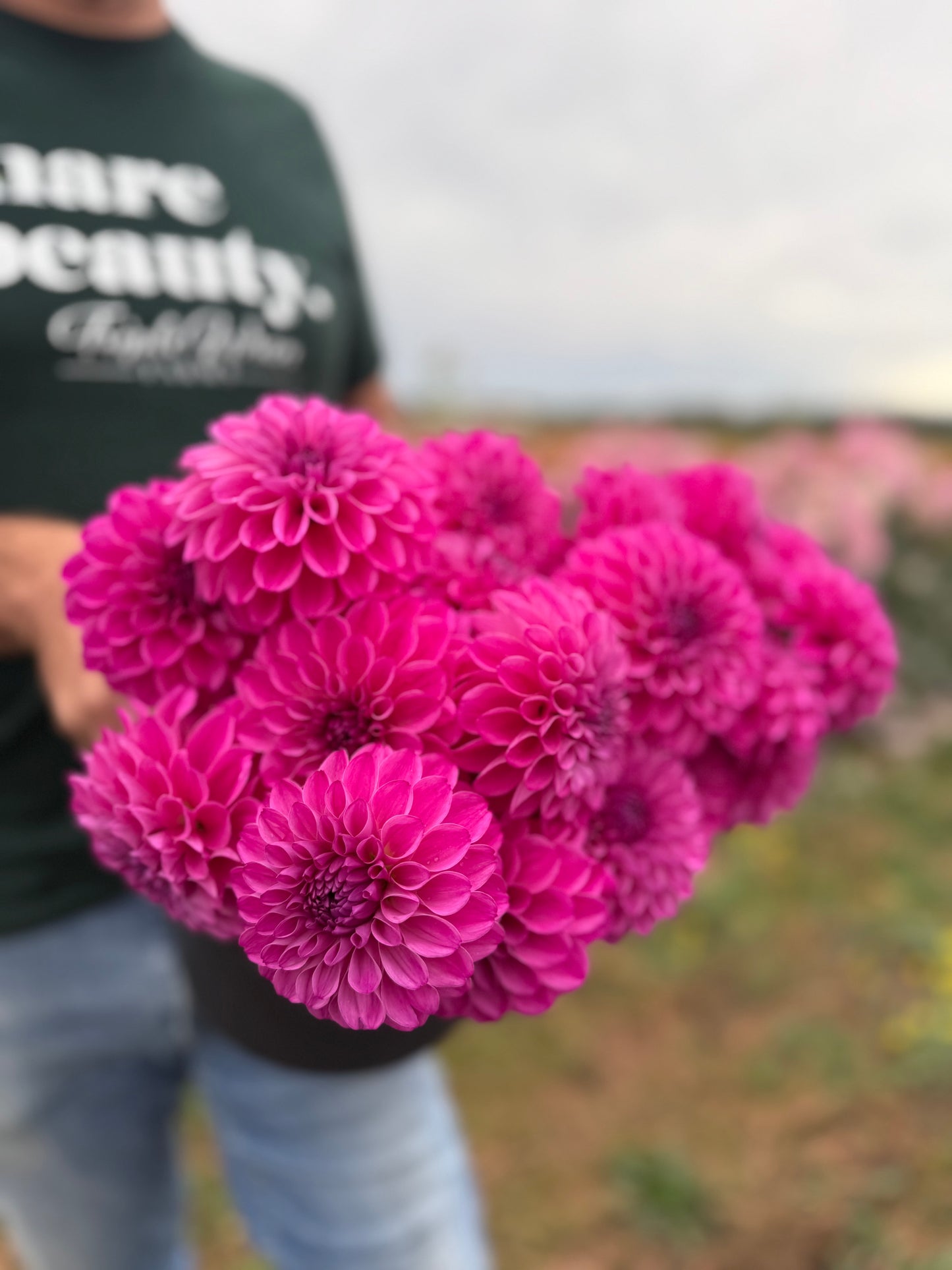 Bloomquist Intrepid Dahlia Tuber