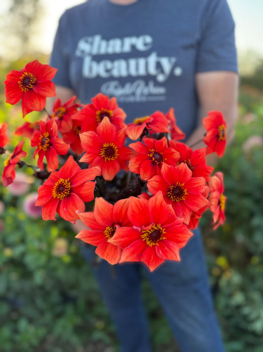 Person wearing a 'Share beauty' shirt with bright red flowers in the foreground