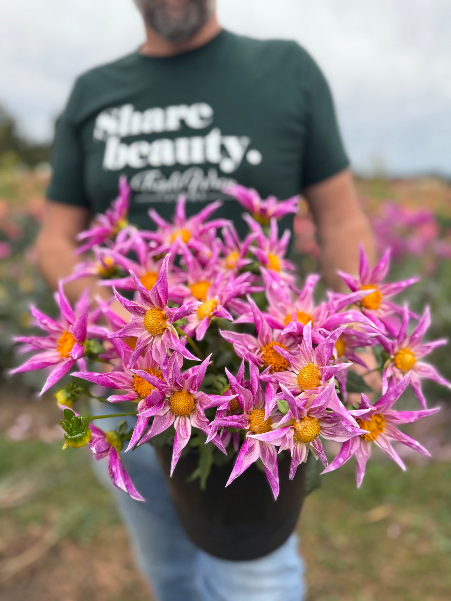 pink orchid shaped dahlias called Bloomquist Prophet from Triple Wren Farms