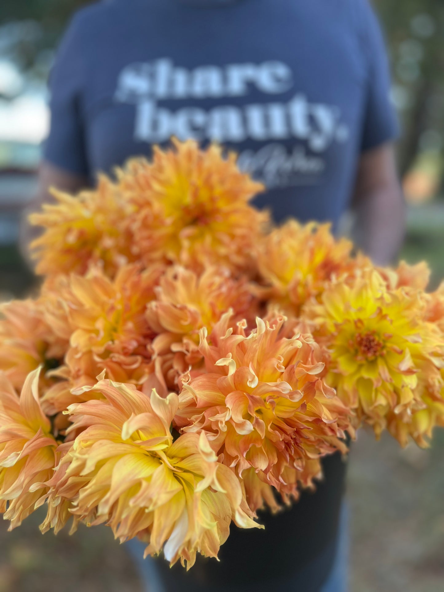 Buy Bloomquist Wild Dahlia Tubers from Triple Wren Farms for your home garden