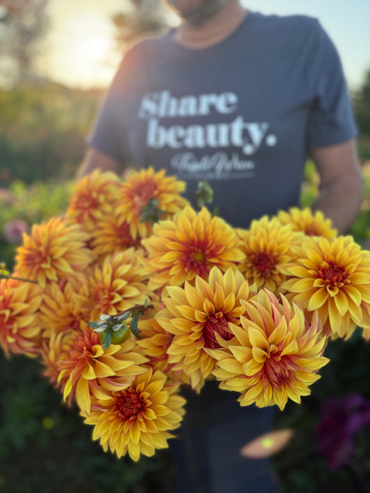 Bloomquist Fascinating Dahlia Tuber