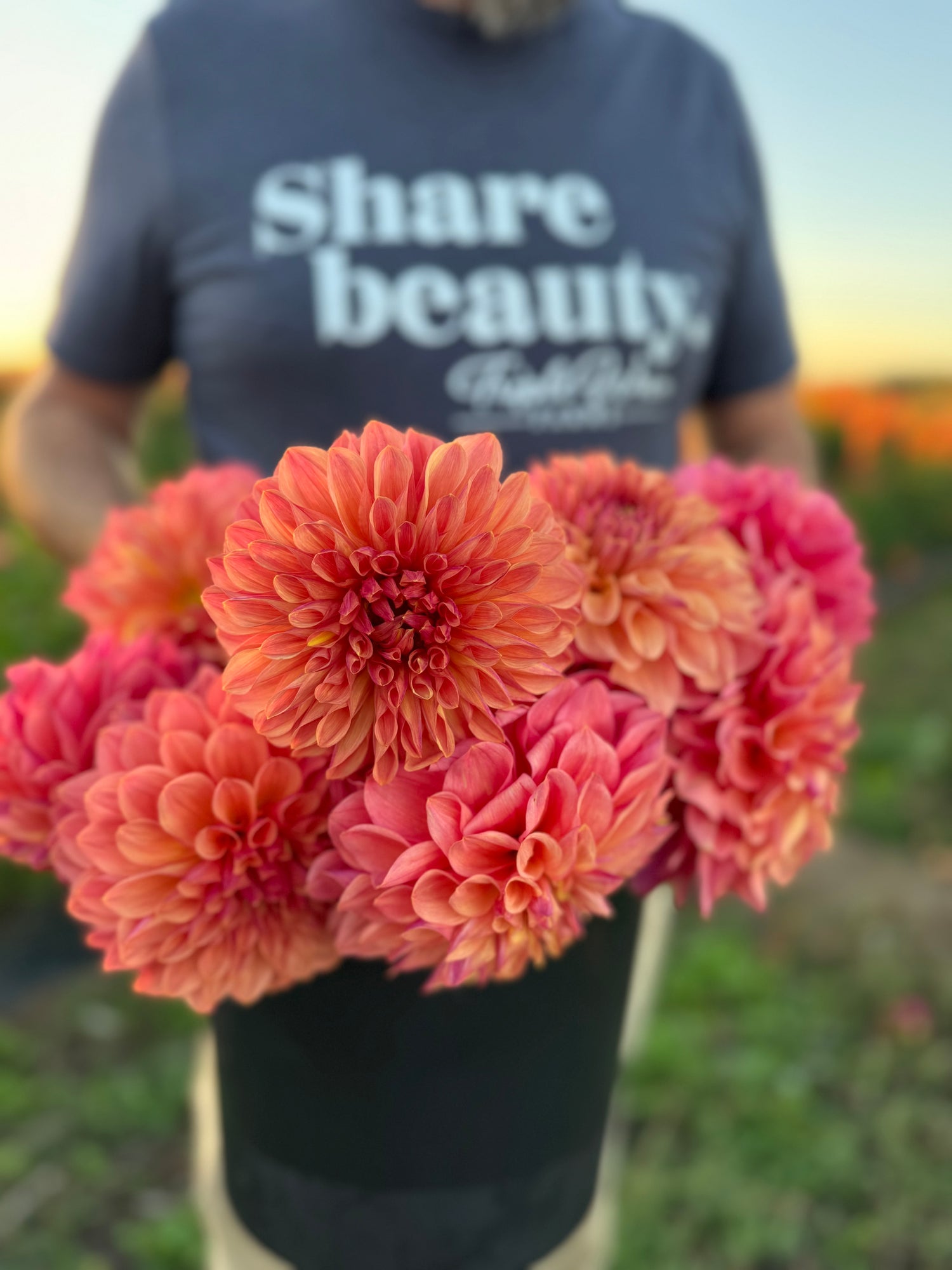 Bloomquist Azalea Dahlias