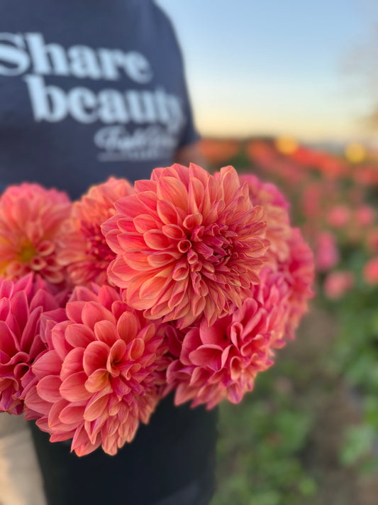 Bloomquist Azalea Tubers from Triple Wren Farms