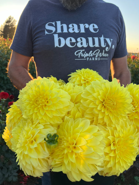 Buy Bloomquist Barbara Dahlia Tubers from Triple Wren Farms