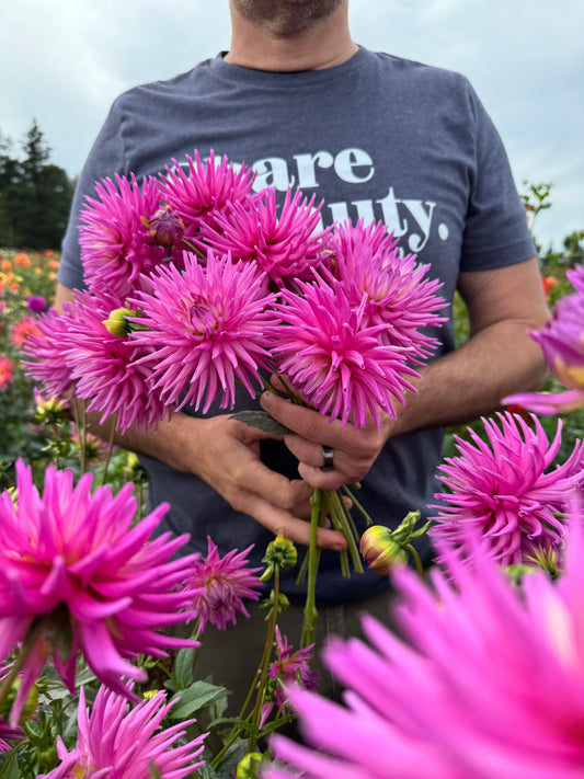 Bloomquist Be Still Dahlias