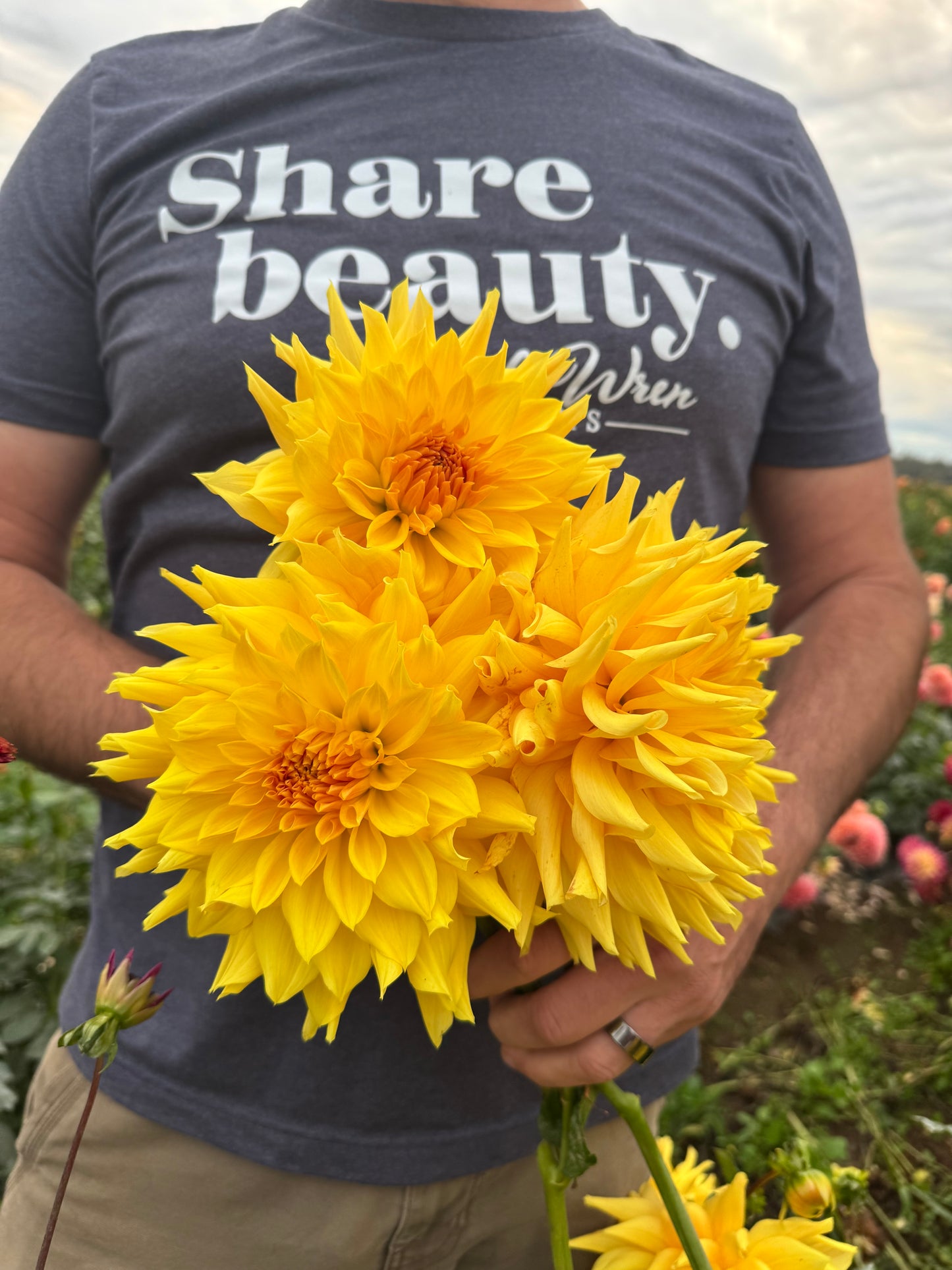 Bloomquist Buck Dahlia Tubers from Triple Wren Farms