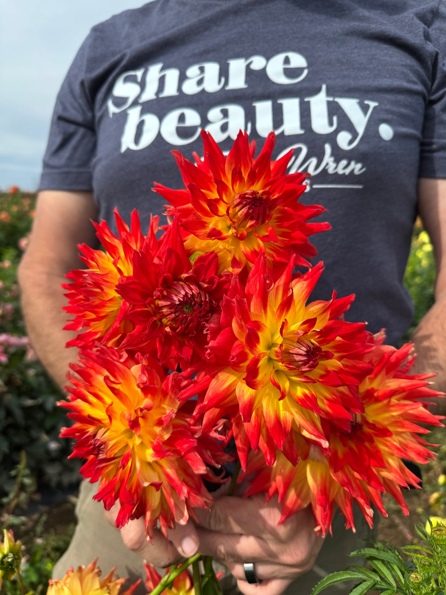 Bloomquist Creation Dahlia Tubers Triple Wren Farms