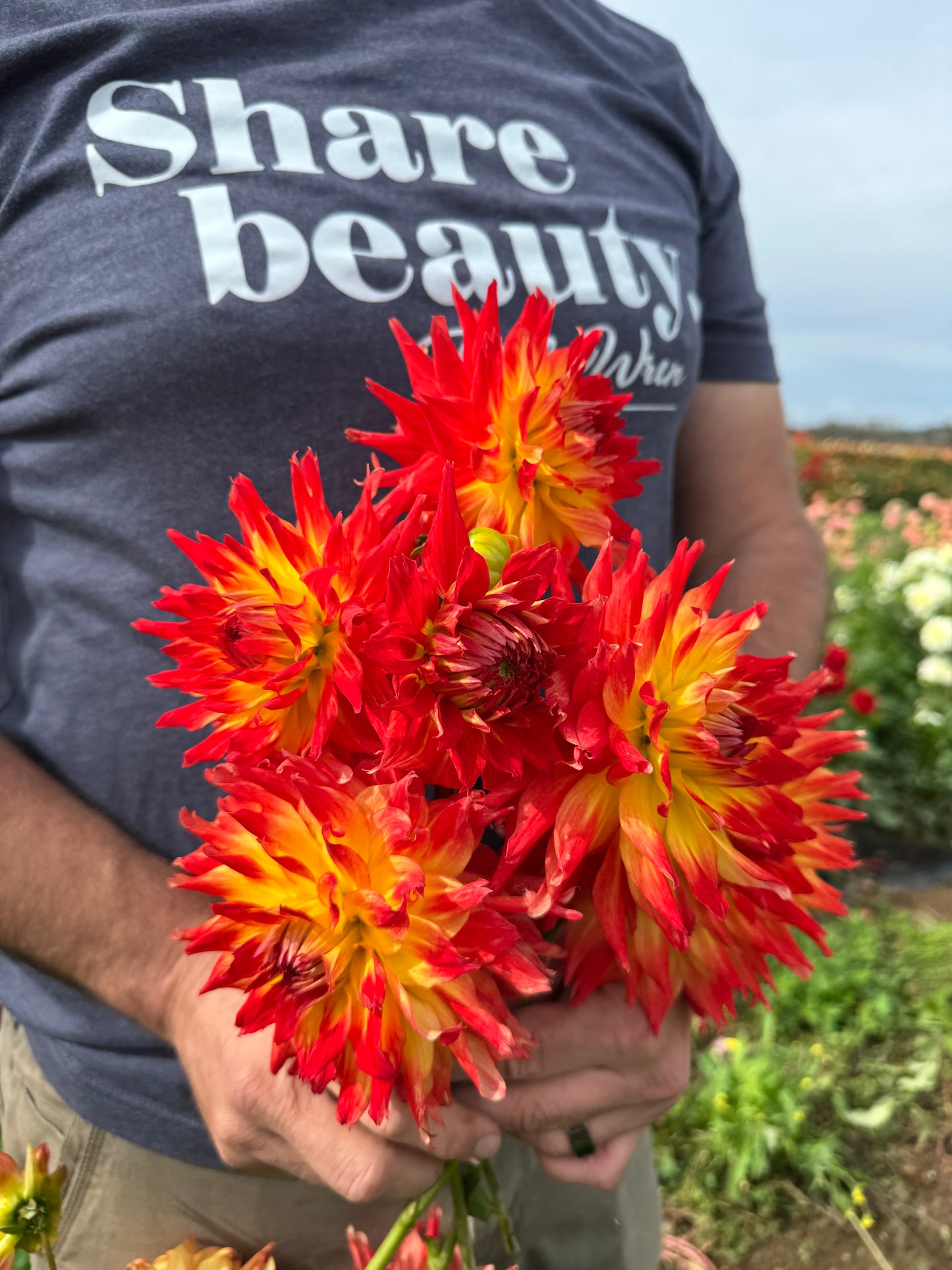 Bloomquist Creation Dahlia Tubers Triple Wren Farms