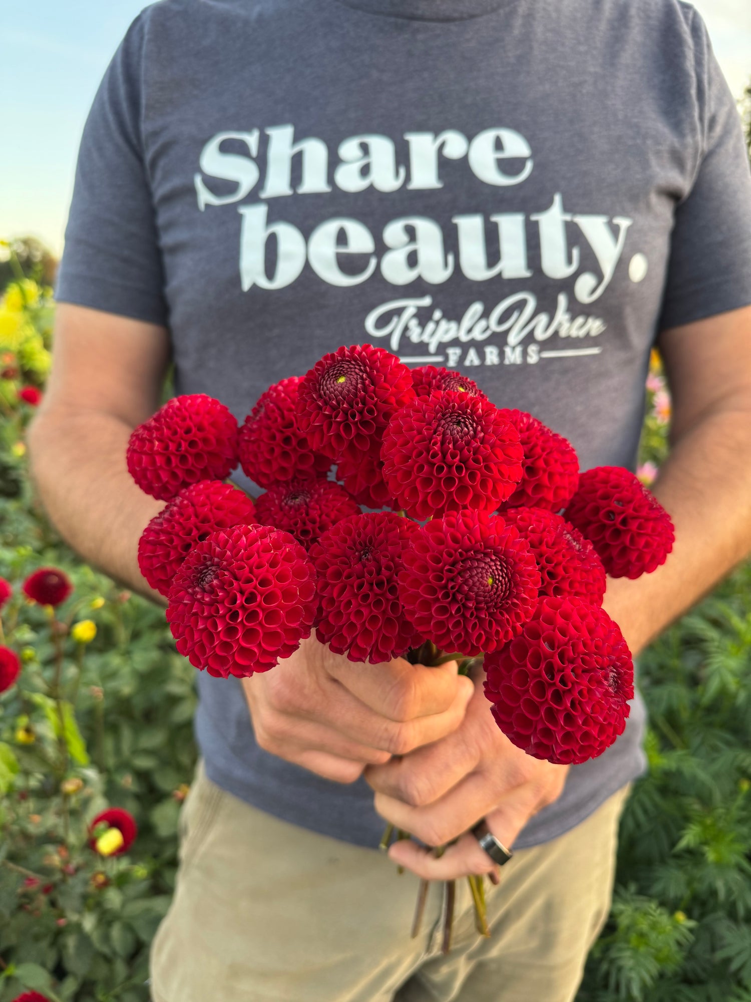 Bloomquist Dan G Dahlia Tubers