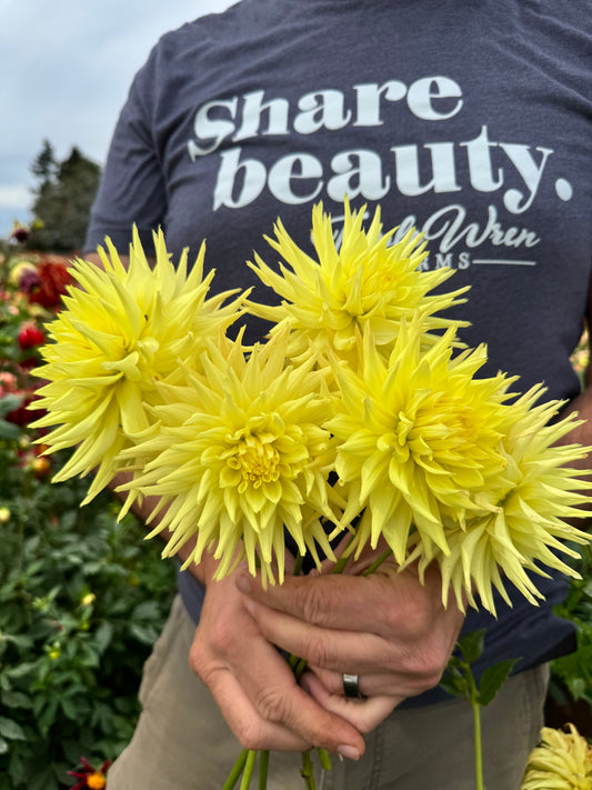 Bloomquist Dignity Dahlias