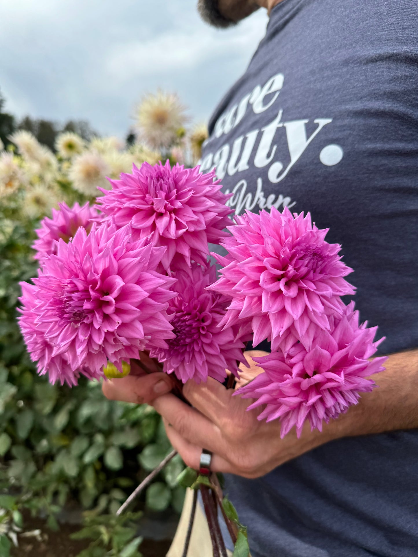 Buy Bloomquist Divination Dahlia Tubers from Triple Wren Farms