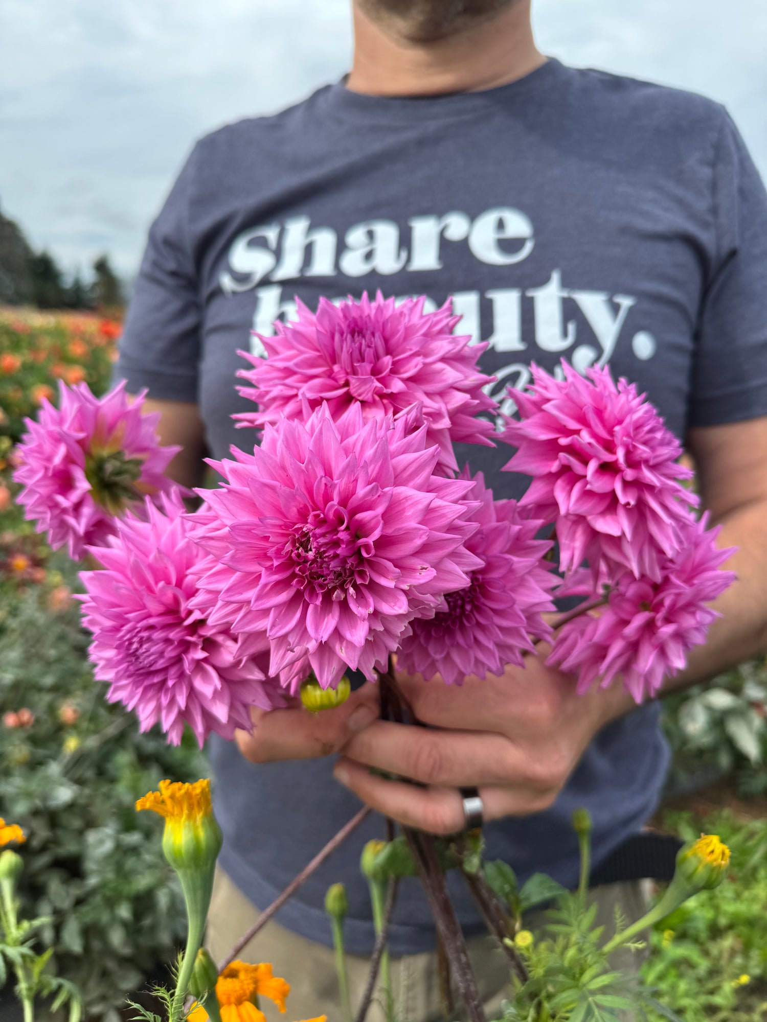 Bloomquist Divination Dahlias