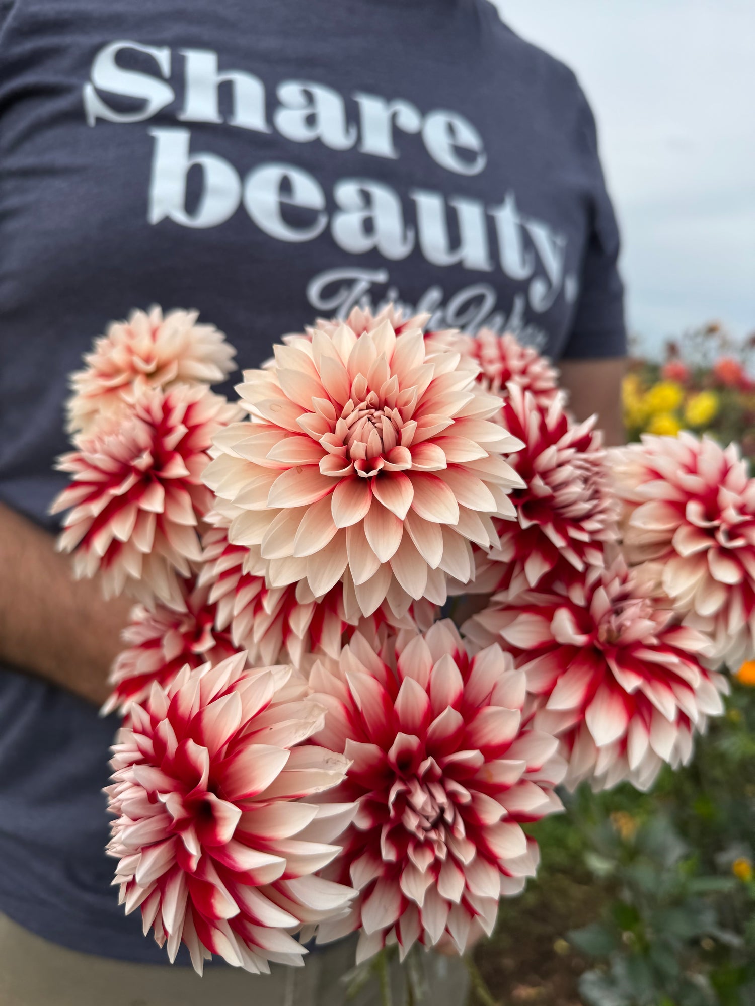 Buy Bloomquist Enriching Dahlia Tubers from Triple Wren Farms