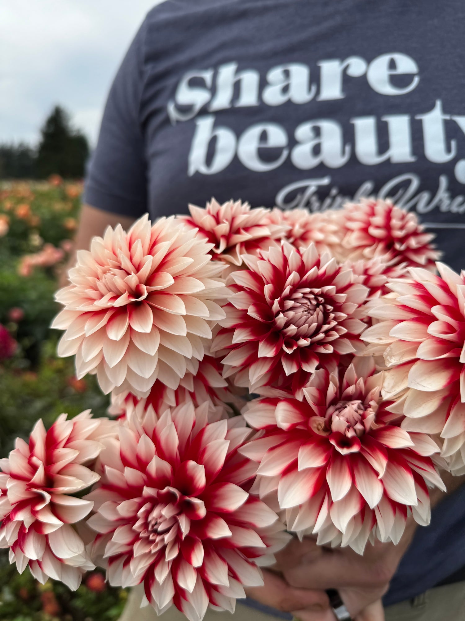 Bloomquist Enriching Dahlias 