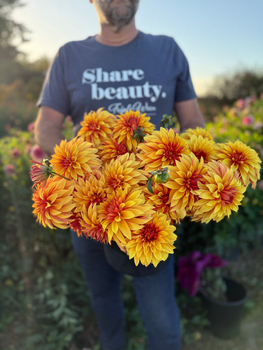 Bloomquist Fascinating Dahlia Tuber