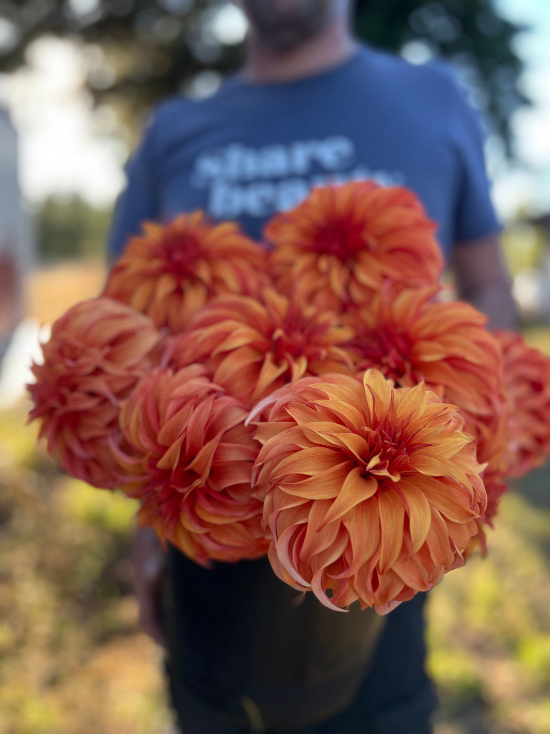 Bloomquist Jean Dahlia Tuber – Triple Wren Farms