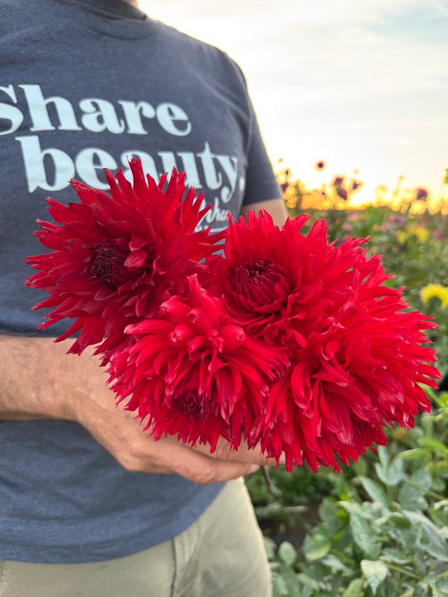 Bloomquist Katie Dahlias from Triple Wren Farms