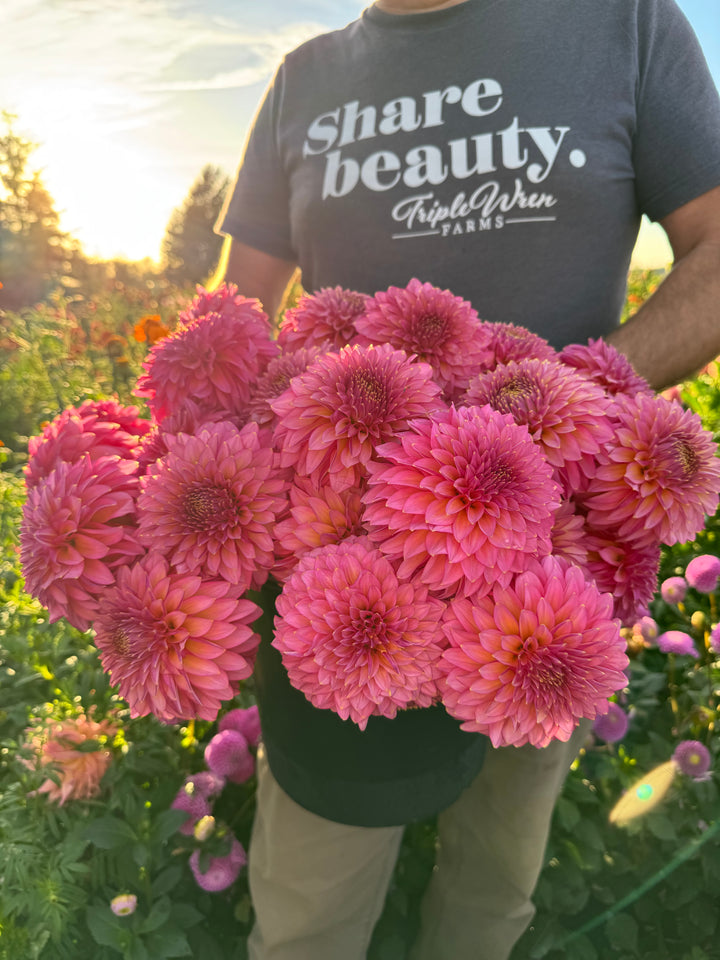 Online Class: Introduction to Dahlia Tissue Culture - Sunday March 29th 9am-11am Pacific Time main image 1