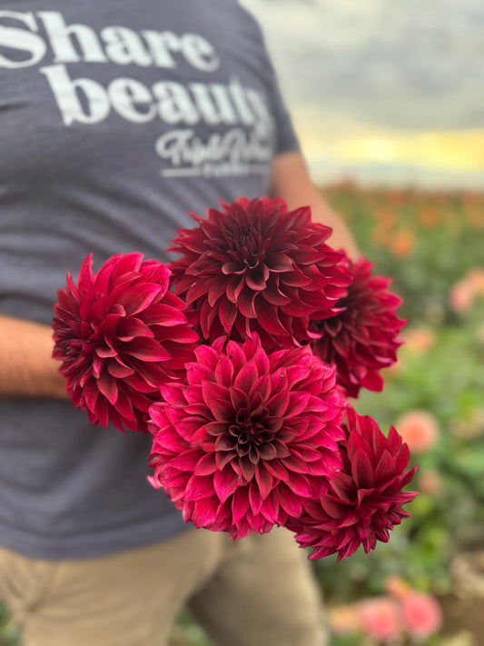 Buy Bloomquist Port Dahlia Tubers from Triple Wren Farms