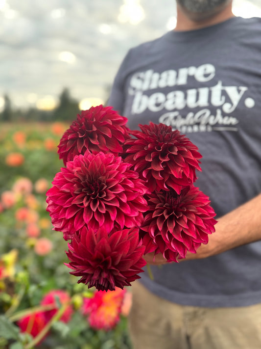 Bloomquist Port Dahlias