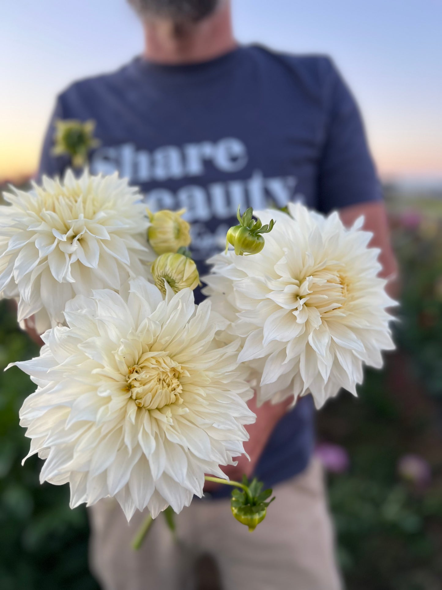 Bloomquist Sam Dahlias from Triple Wren Farms