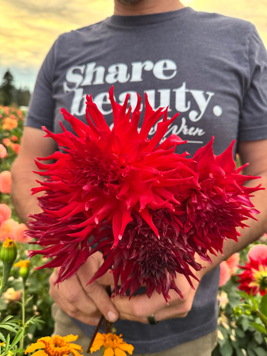 Bloomquist Staghorn Dahlias
