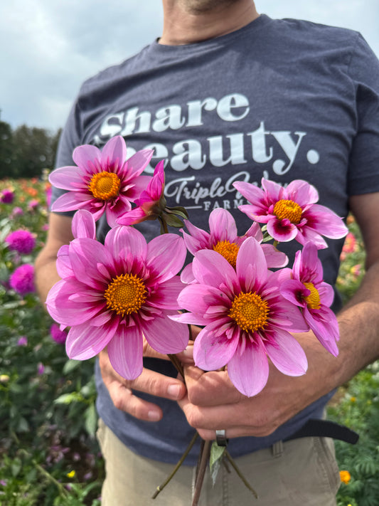 Bloomquist Sweet Dahlia Tubers from Triple Wren Farms