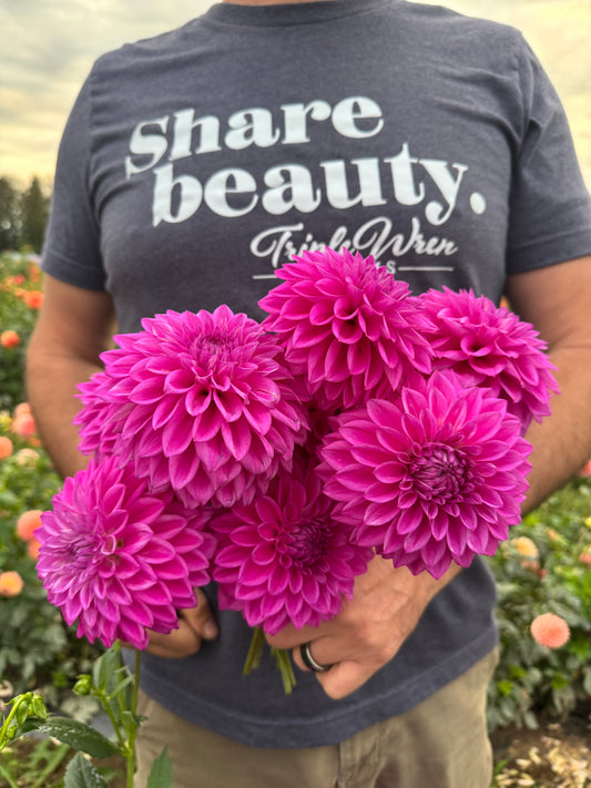 Bloomquist Tassel Dahlia