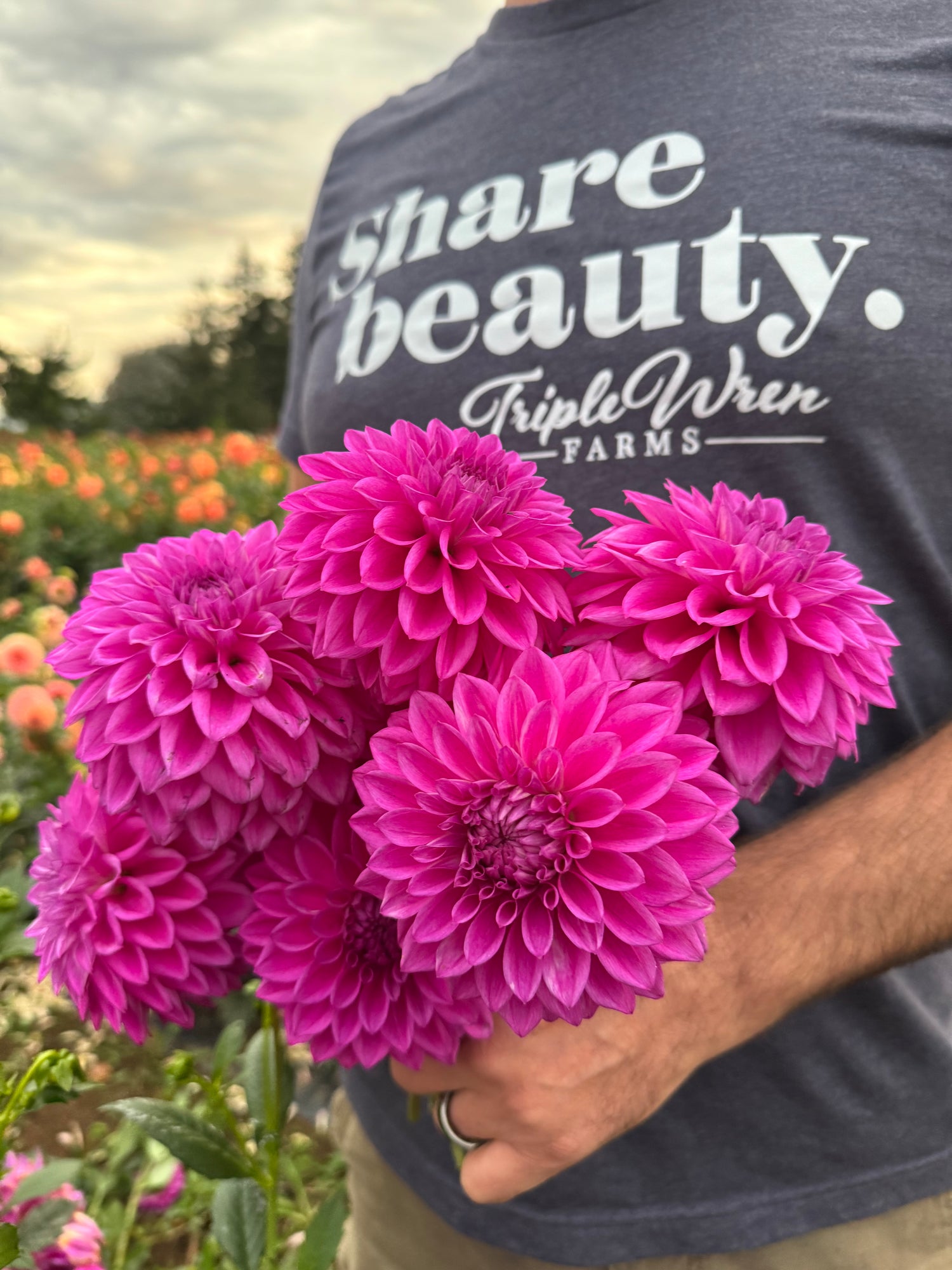 Bloomquist Tassel Dahlia Tubers