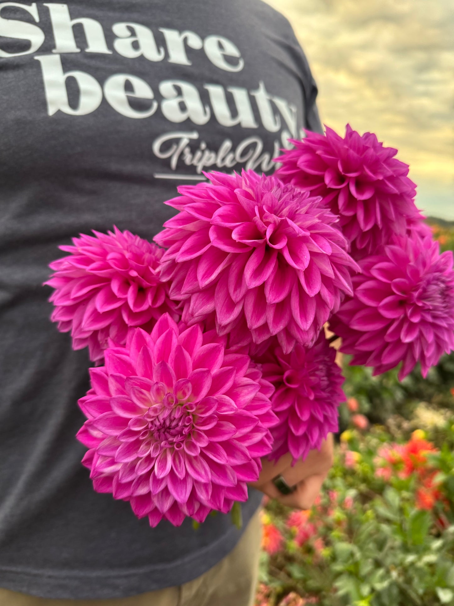 Bloomquist Tassel Dahlia Tubers from Triple Wren Farms