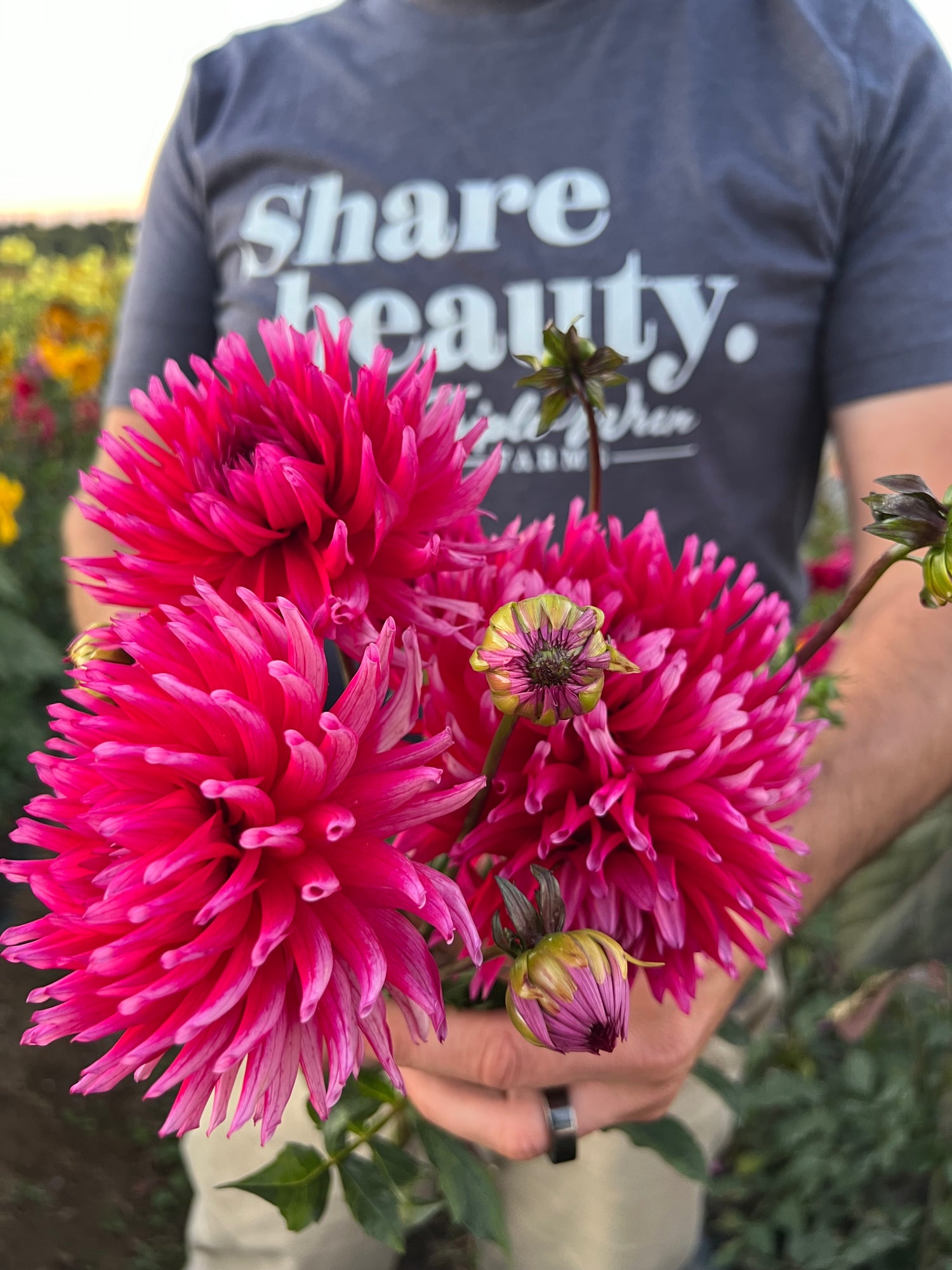 Bloomquist Wendy Dahlias