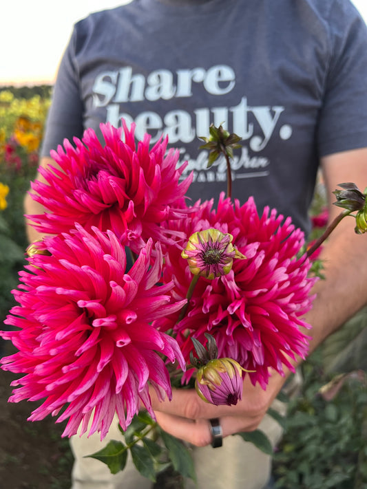 Bloomquist Wendy Dahlias