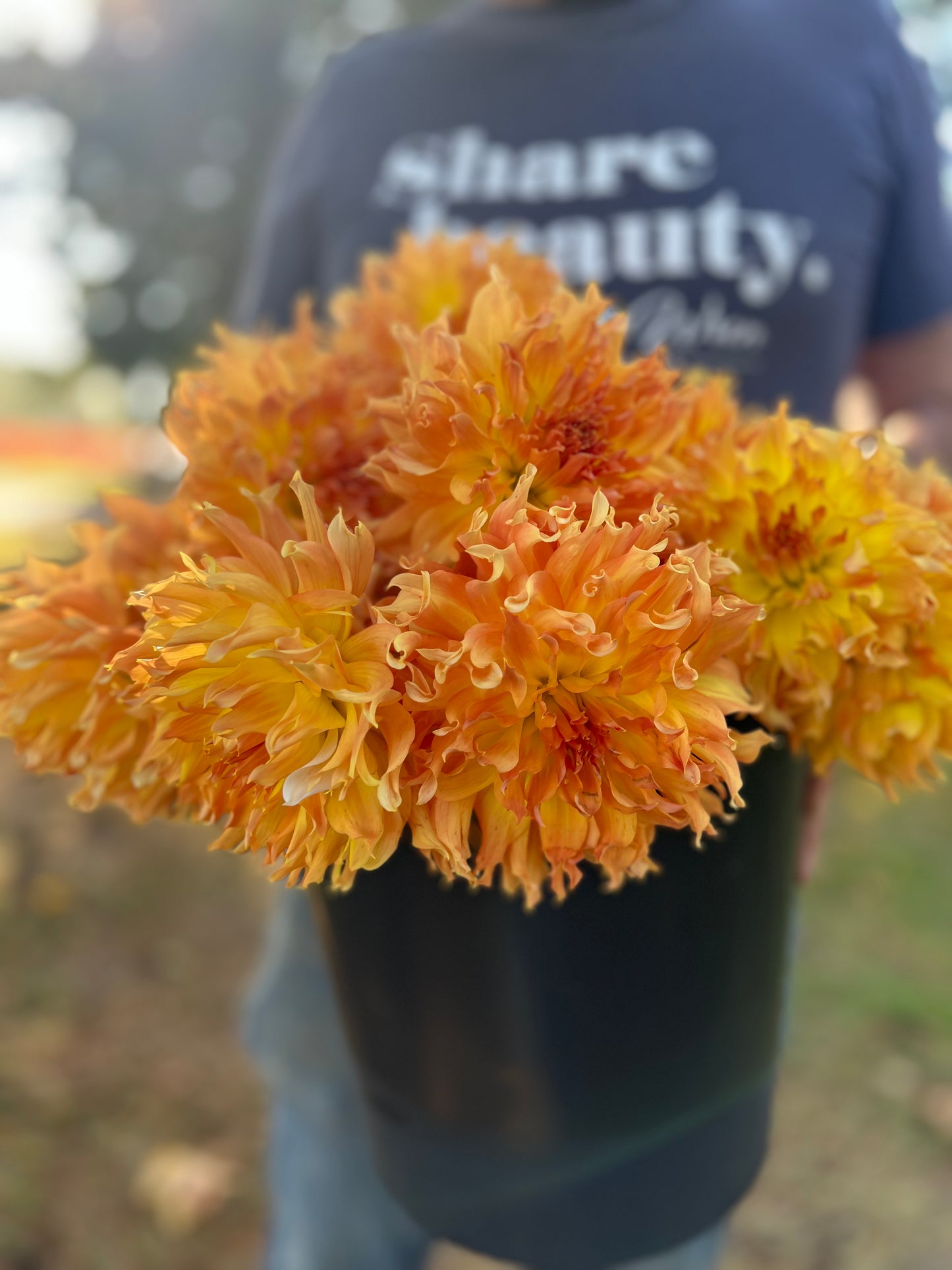 Bloomquist Wild Dahlia Tubers from Triple Wren Farms